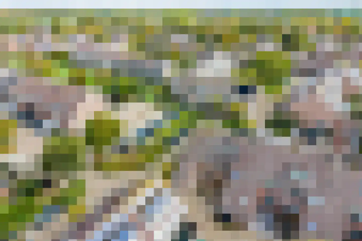 Zonnekant 16 Noordwijk thumbnail 43