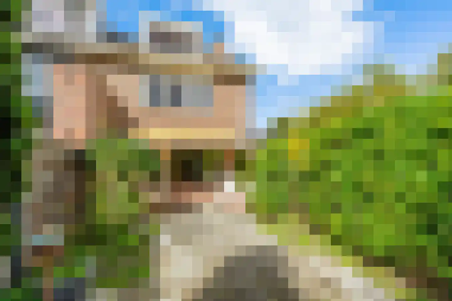 Zonnekant 16 Noordwijk thumbnail 5