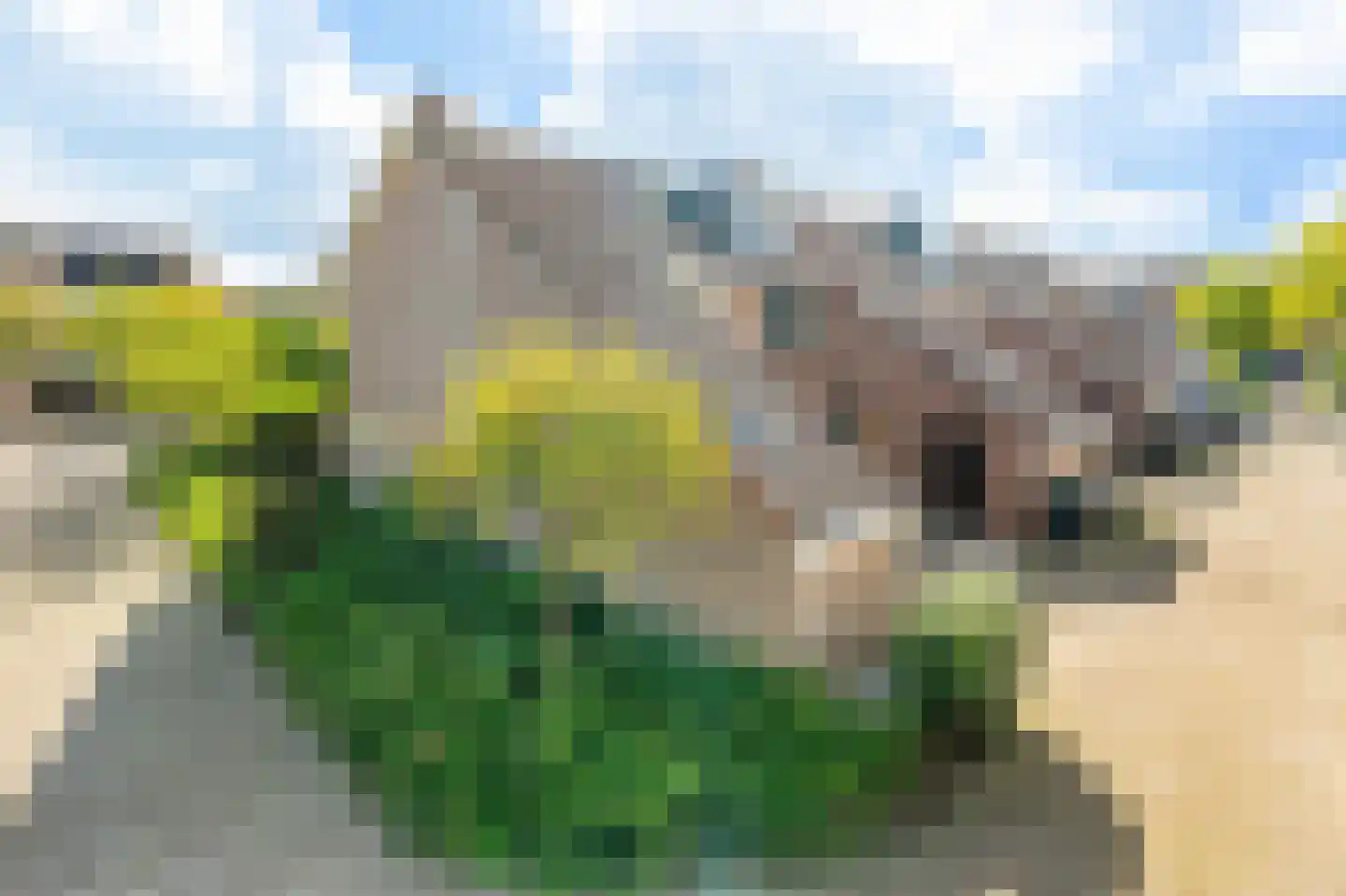 Zonnekant 16 Noordwijk thumbnail 6