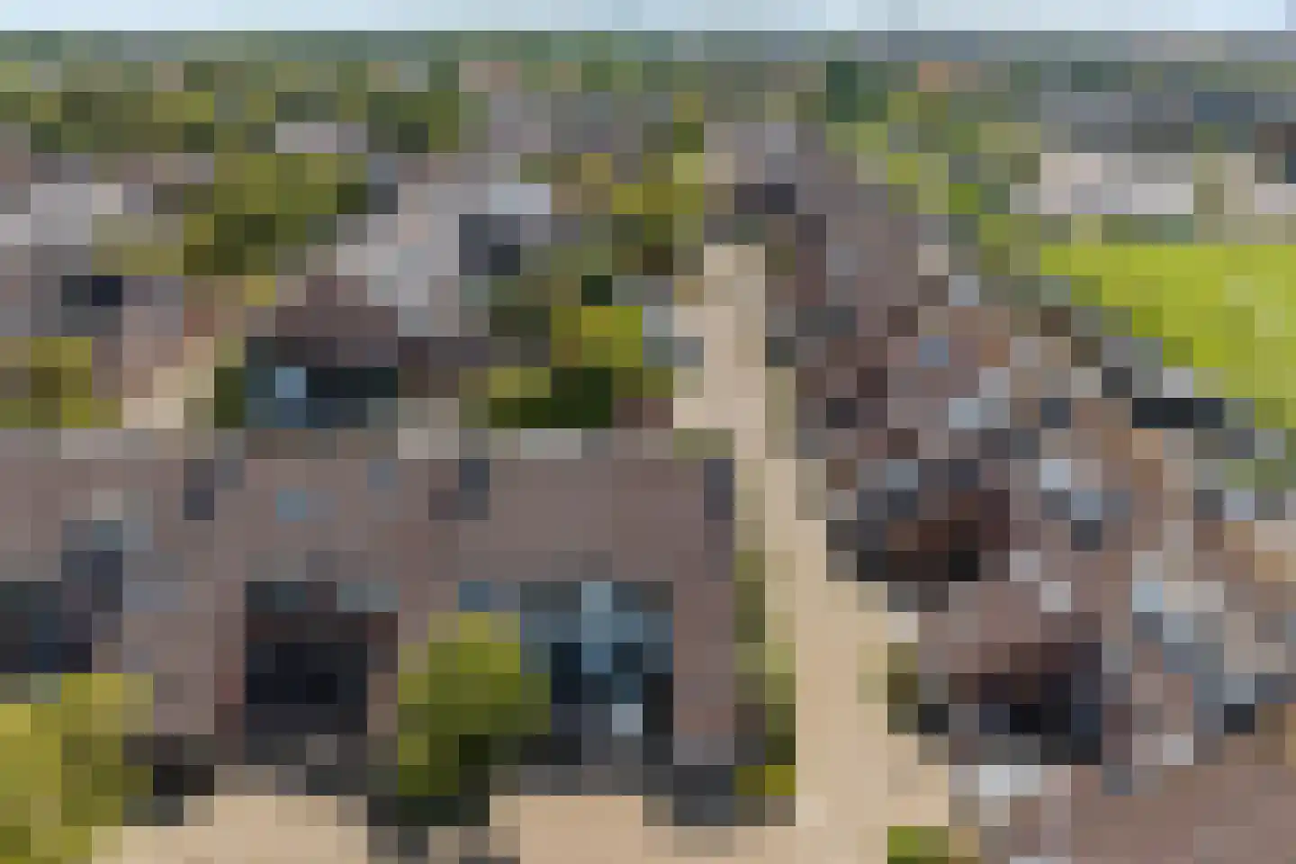 Zonnekant 2 Noordwijk thumbnail 33