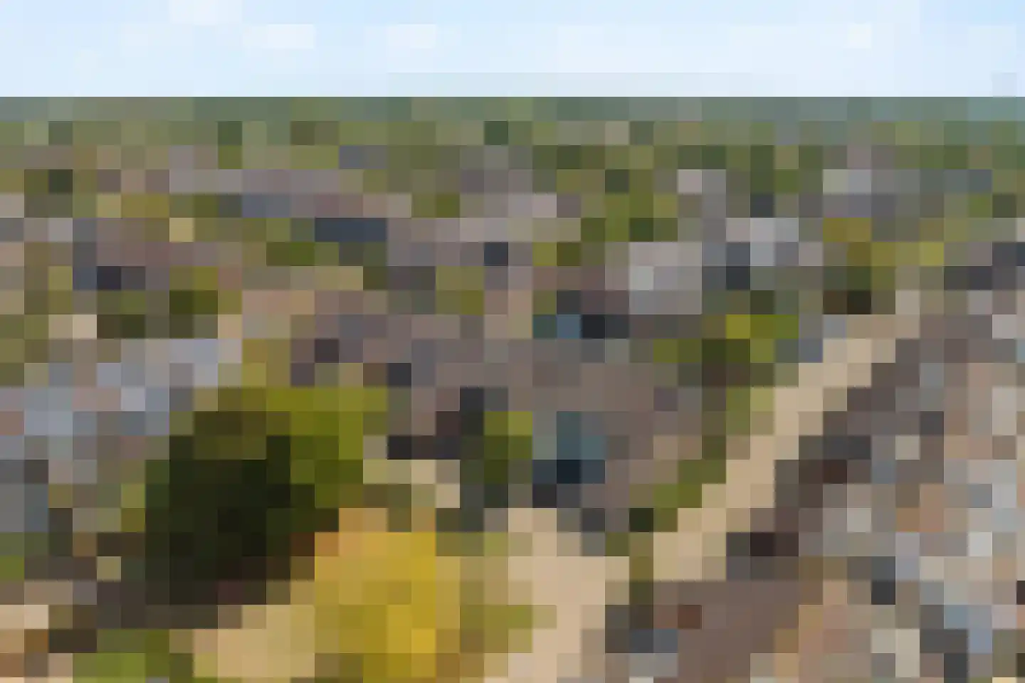 Zonnekant 2 Noordwijk thumbnail 34
