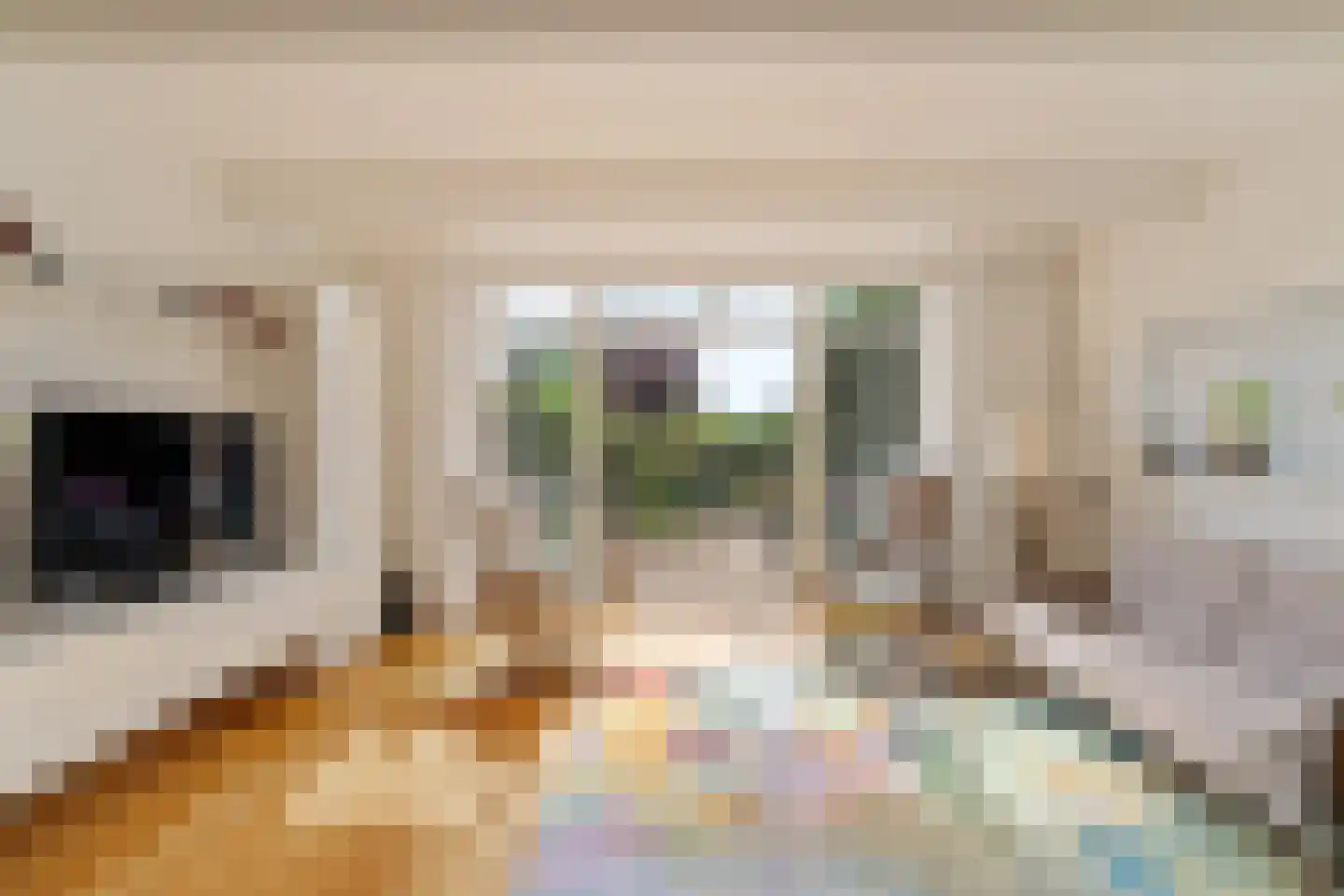 Zonnekant 2 Noordwijk thumbnail 5