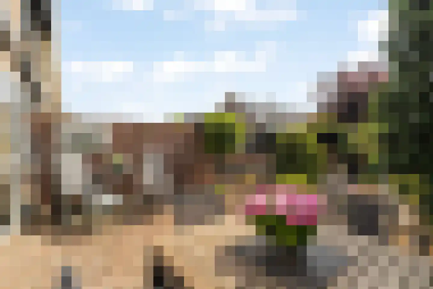 Zonnekant 2 Noordwijk thumbnail 7