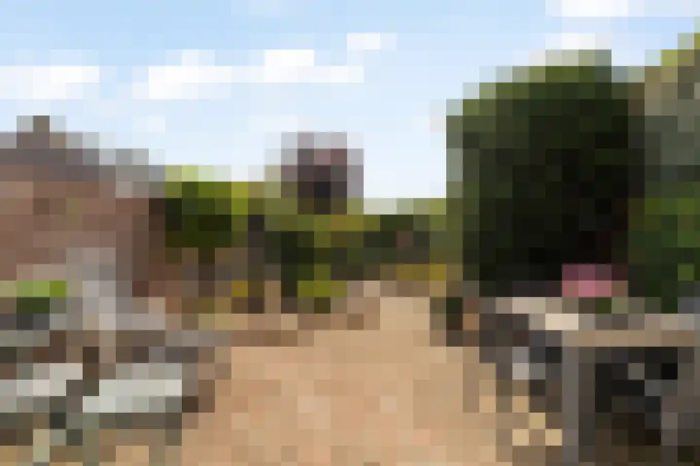 Zonnekant 2 Noordwijk thumbnail 8