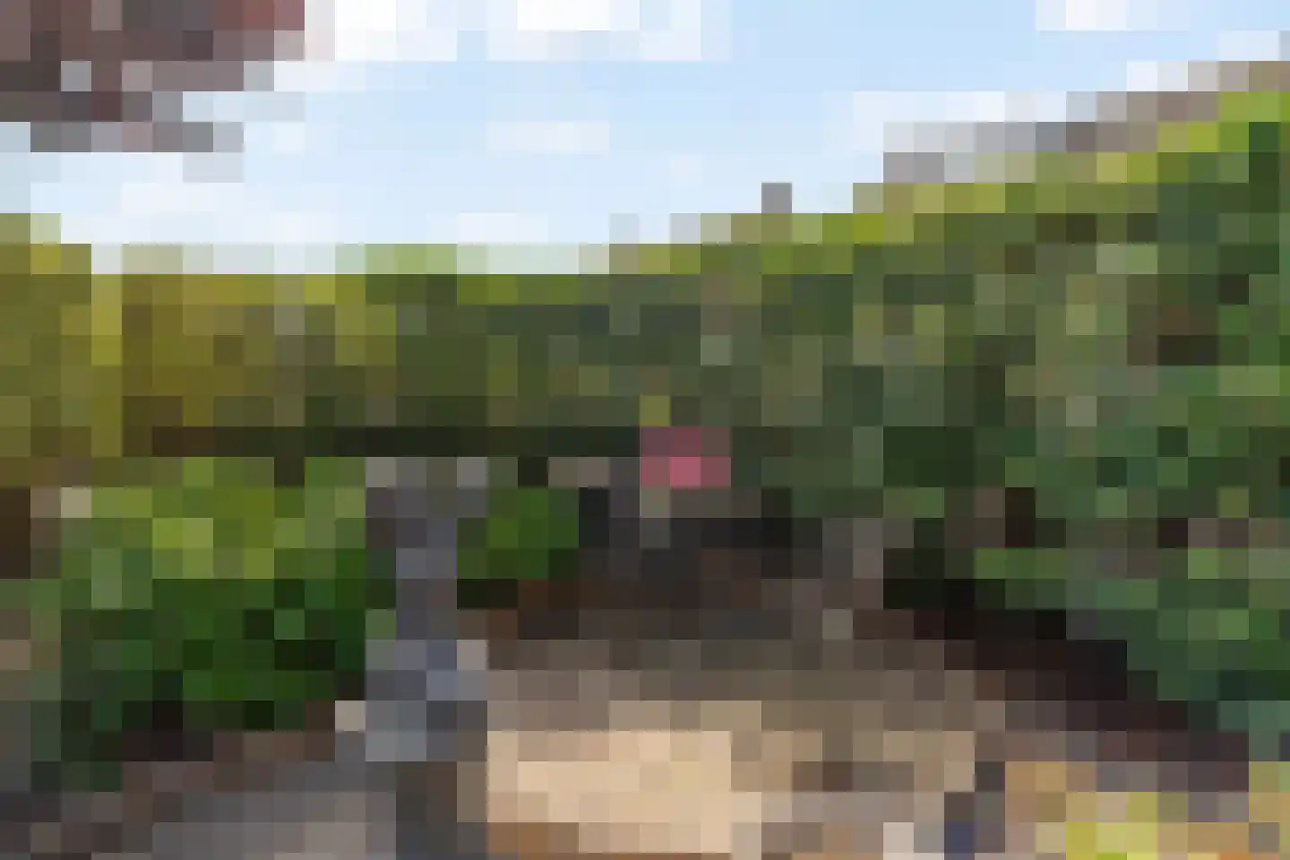 Zonnekant 2 Noordwijk thumbnail 9