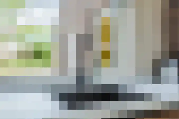 Zonnekant 73 Noordwijk thumbnail 13