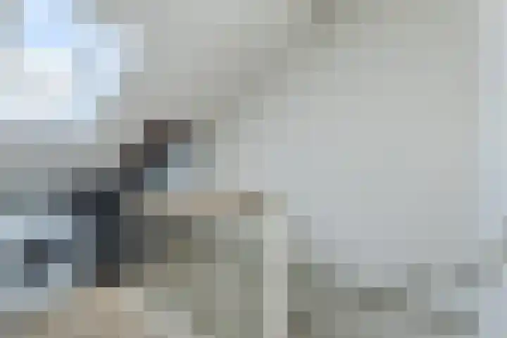 Zonnekant 73 Noordwijk thumbnail 31