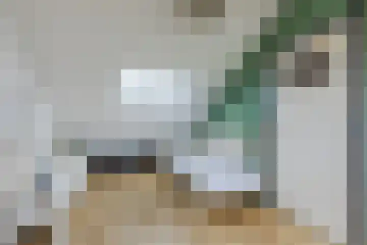 Zonnekant 73 Noordwijk thumbnail 33