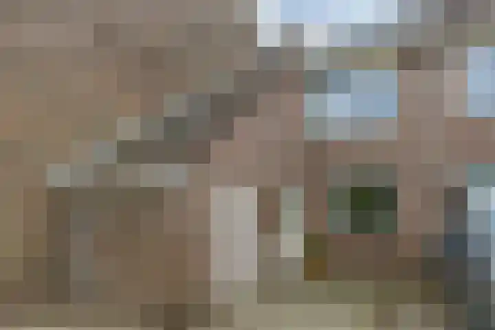Zonnekant 73 Noordwijk thumbnail 36