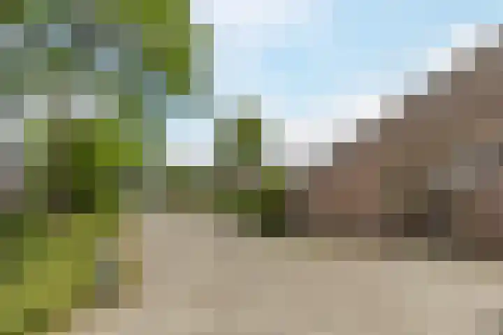 Zonnekant 73 Noordwijk thumbnail 37