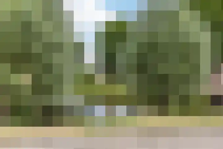 Zonnekant 73 Noordwijk thumbnail 38