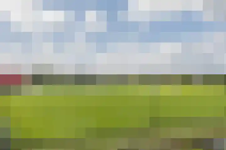 Zonnekant 73 Noordwijk thumbnail 39