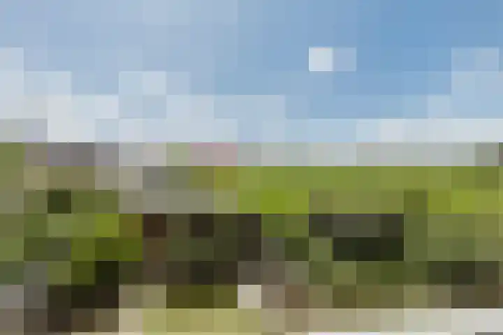 Zonnekant 73 Noordwijk thumbnail 40