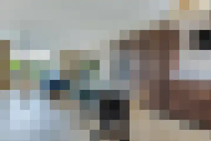 Zonnekant 73 Noordwijk thumbnail 9