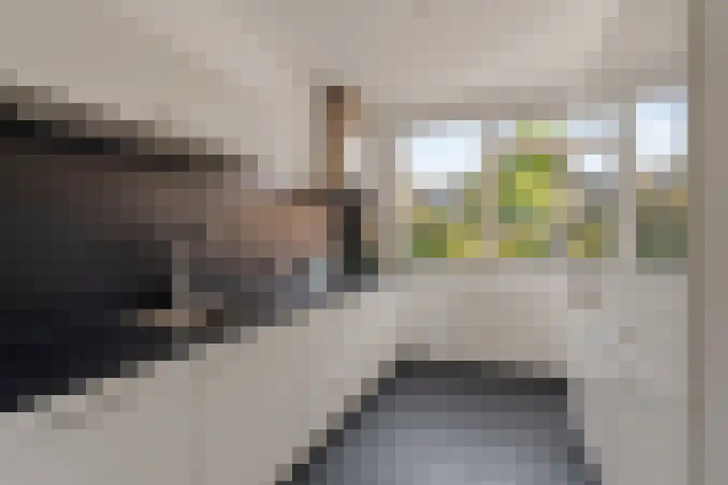 Zonnekant 81 Noordwijk thumbnail 18