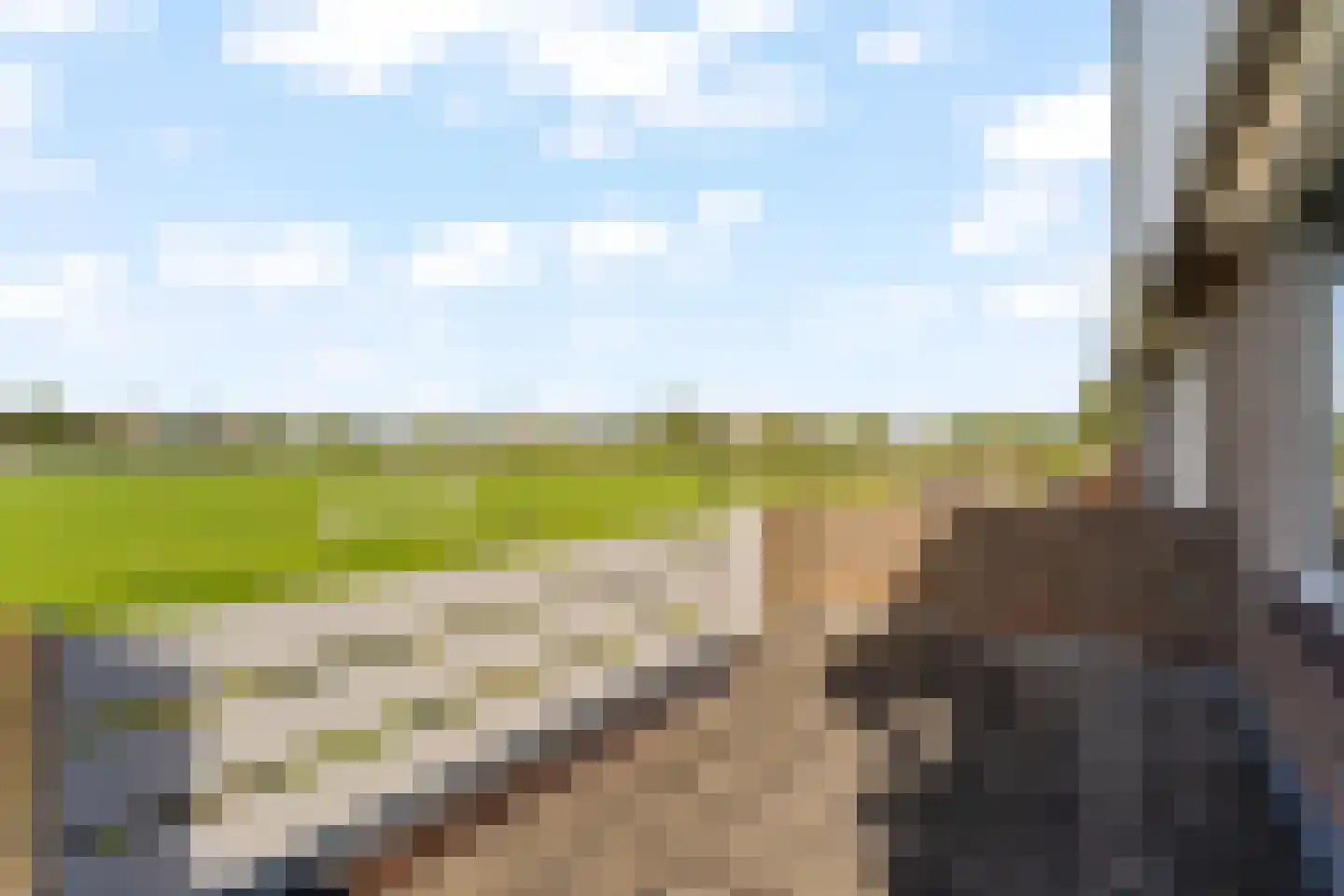 Zonnekant 81 Noordwijk thumbnail 28
