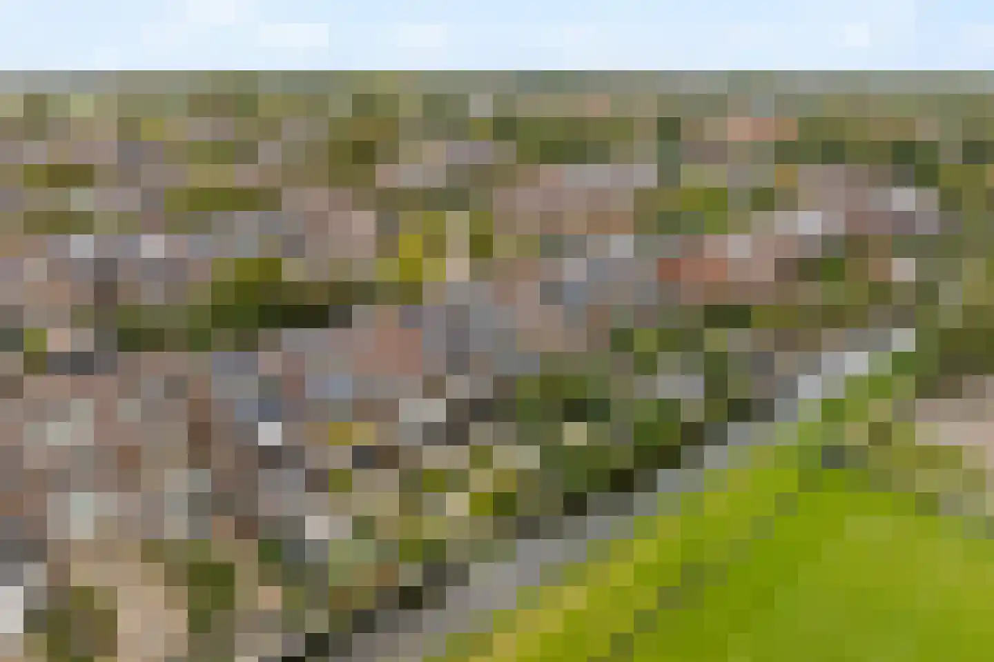 Zonnekant 81 Noordwijk thumbnail 37