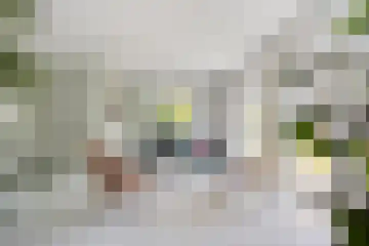 Zonnekers 17 Vlissingen thumbnail 13