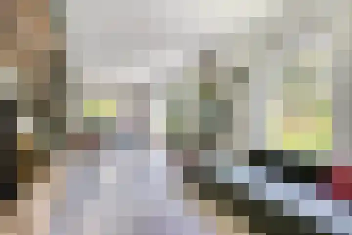 Zonnekers 17 Vlissingen thumbnail 16