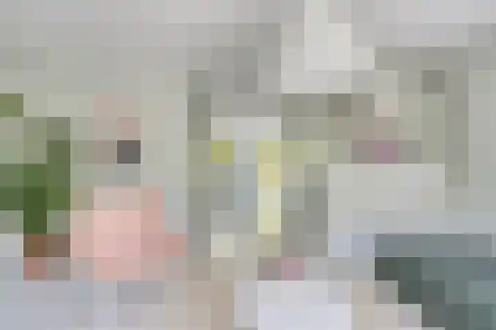 Zonnekers 17 Vlissingen thumbnail 17