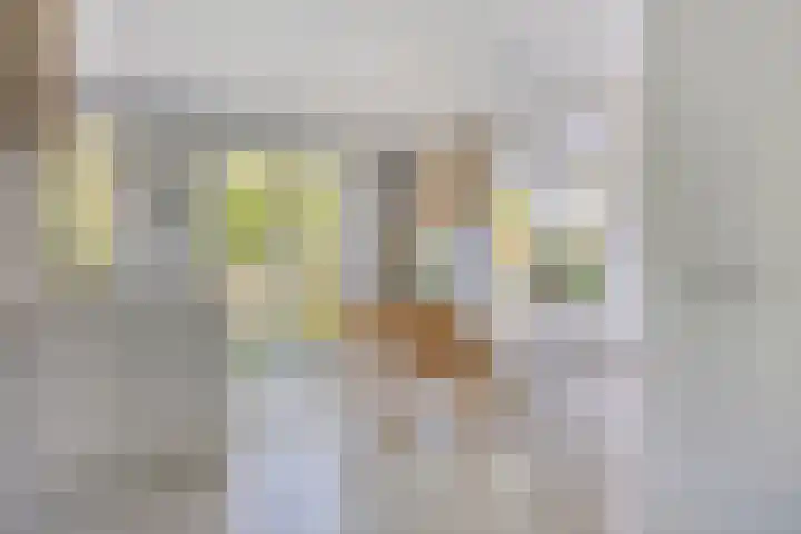 Zonnekers 17 Vlissingen thumbnail 20