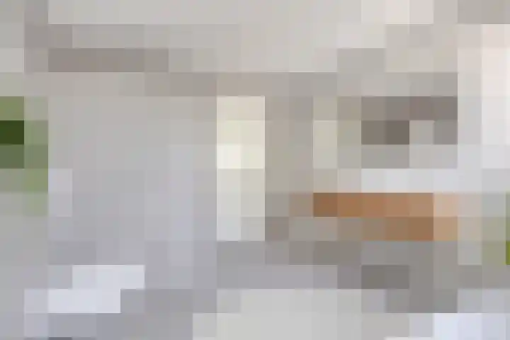 Zonnekers 17 Vlissingen thumbnail 32