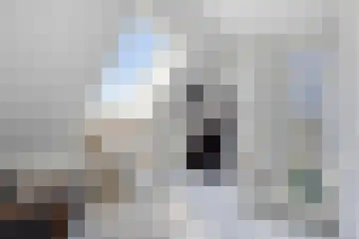 Zonnekers 17 Vlissingen thumbnail 38