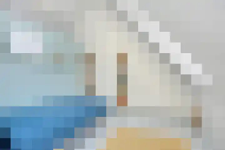Zonnekers 17 Vlissingen thumbnail 39