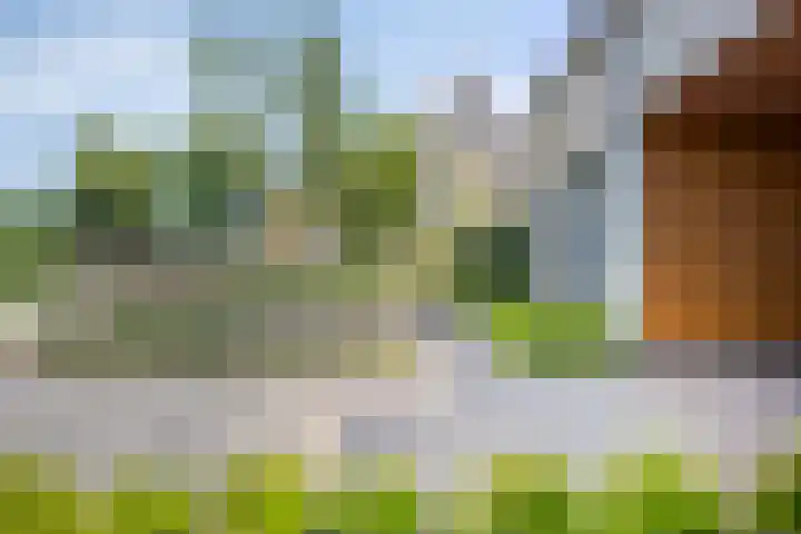 Zonnekers 17 Vlissingen thumbnail 4