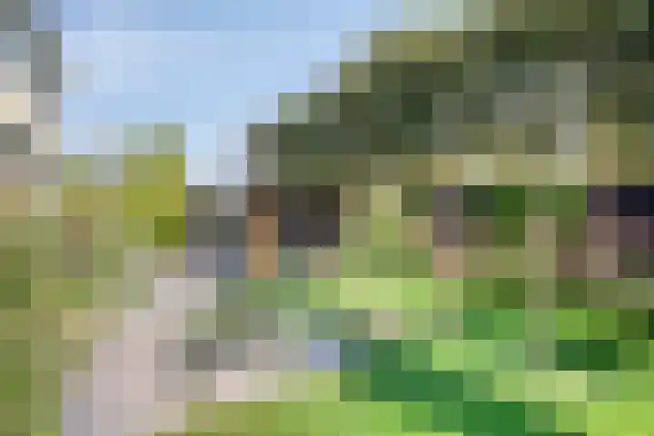 Zonnekers 17 Vlissingen thumbnail 45