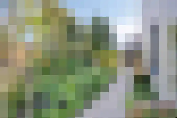 Zonnekers 17 Vlissingen thumbnail 46