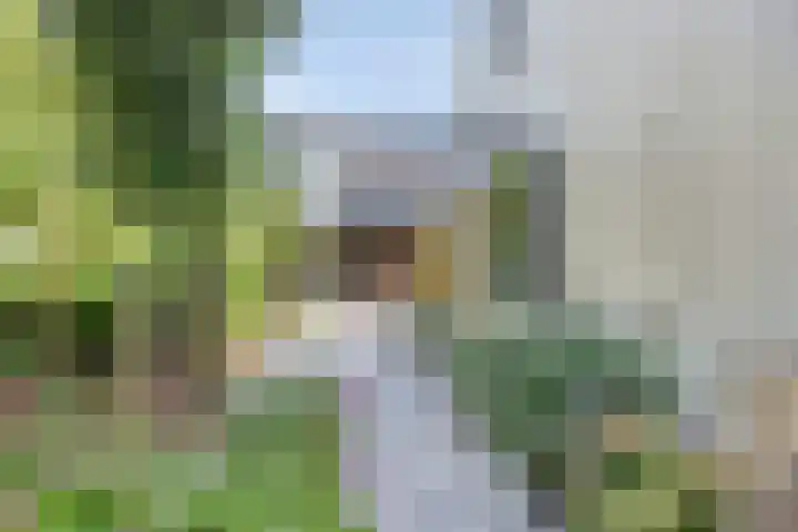 Zonnekers 17 Vlissingen thumbnail 47