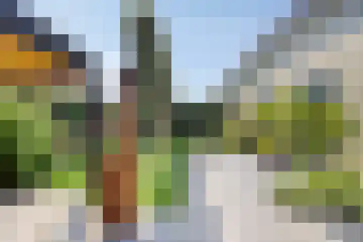 Zonnekers 17 Vlissingen thumbnail 49