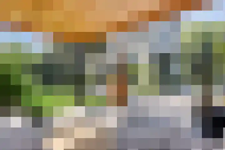 Zonnekers 17 Vlissingen thumbnail 50
