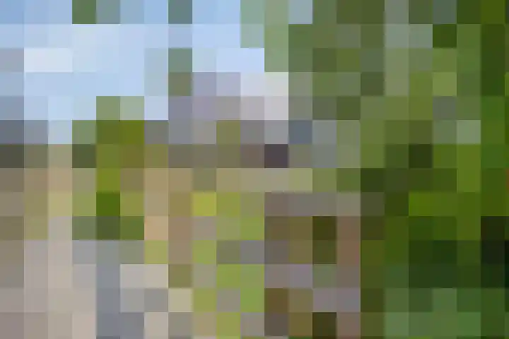 Zonnekers 17 Vlissingen thumbnail 6