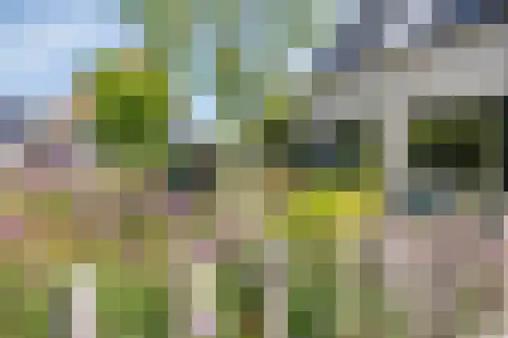 Zonnekers 17 Vlissingen thumbnail 7