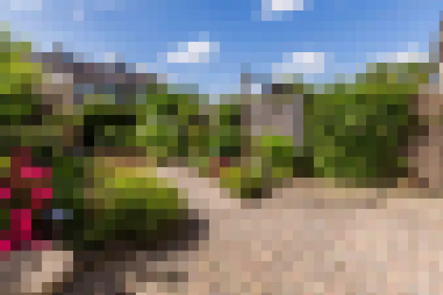 Zonnekroon 21 Mijdrecht thumbnail 35