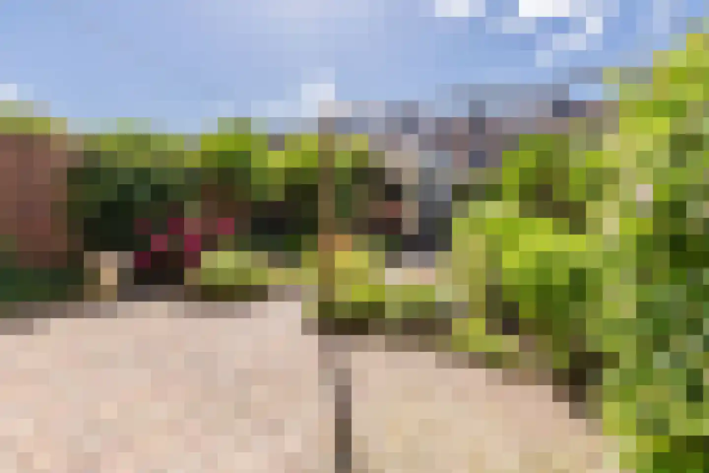 Zonnekroon 21 Mijdrecht thumbnail 36