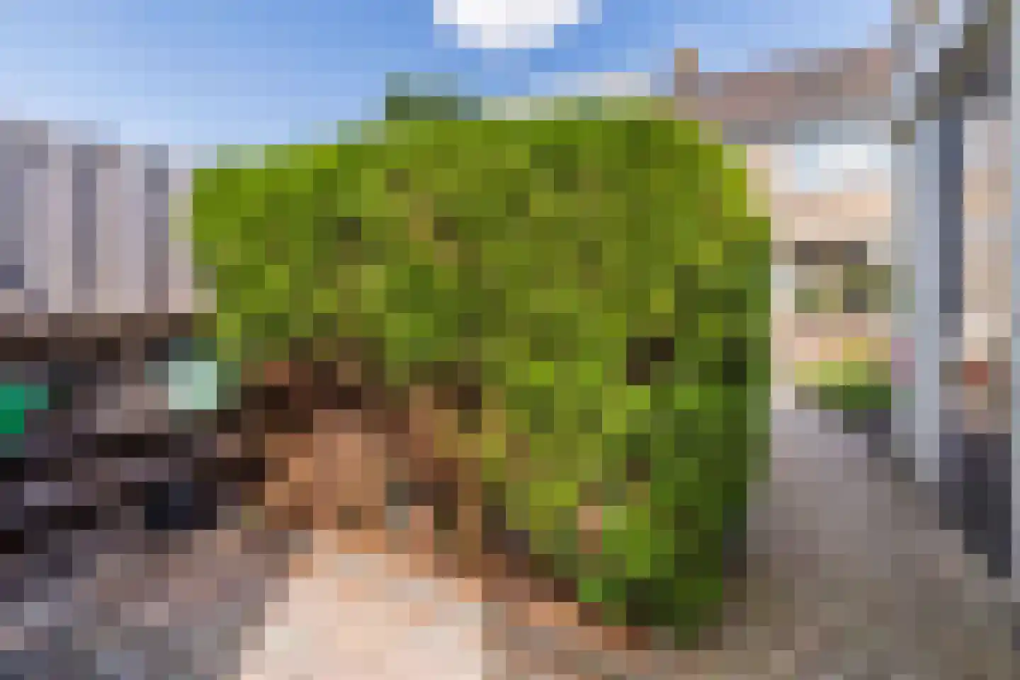 Zonnekroon 21 Mijdrecht thumbnail 41