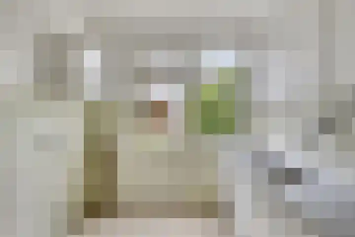 Zonnekruidstraat 5 Heteren thumbnail 10
