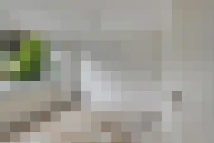 Zonnekruidstraat 5 Heteren thumbnail 12