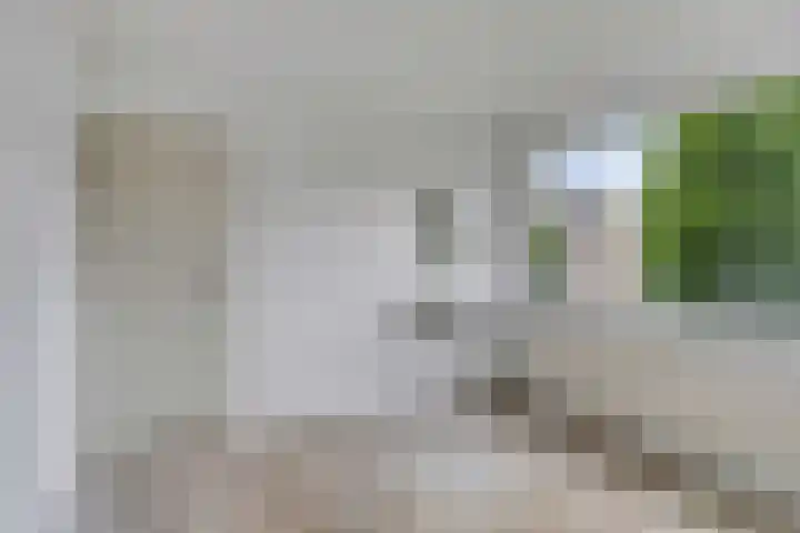 Zonnekruidstraat 5 Heteren thumbnail 13