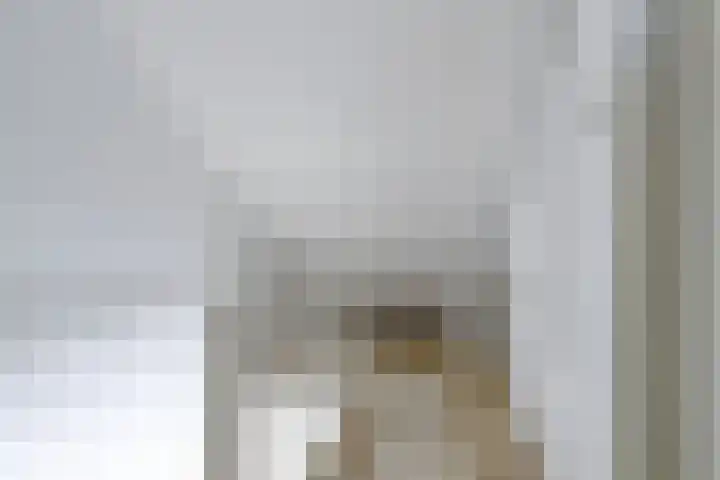 Zonnekruidstraat 5 Heteren thumbnail 17