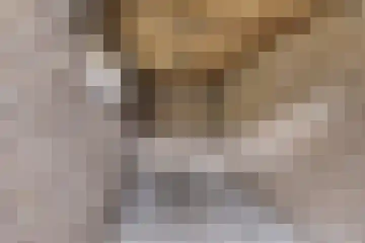 Zonnekruidstraat 5 Heteren thumbnail 20