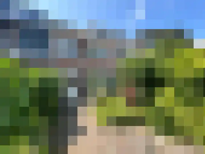 Zonnekruidstraat 5 Heteren thumbnail 21
