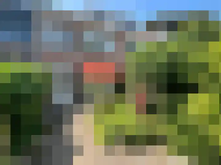 Zonnekruidstraat 5 Heteren thumbnail 22