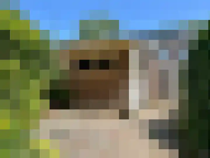 Zonnekruidstraat 5 Heteren thumbnail 23