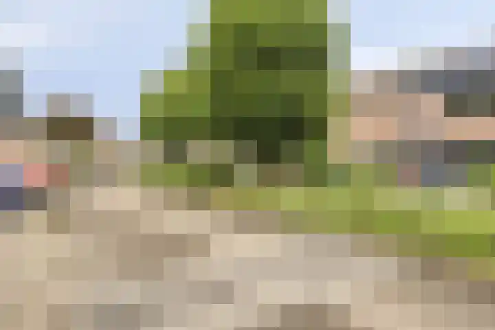 Zonnekruidstraat 5 Heteren thumbnail 24