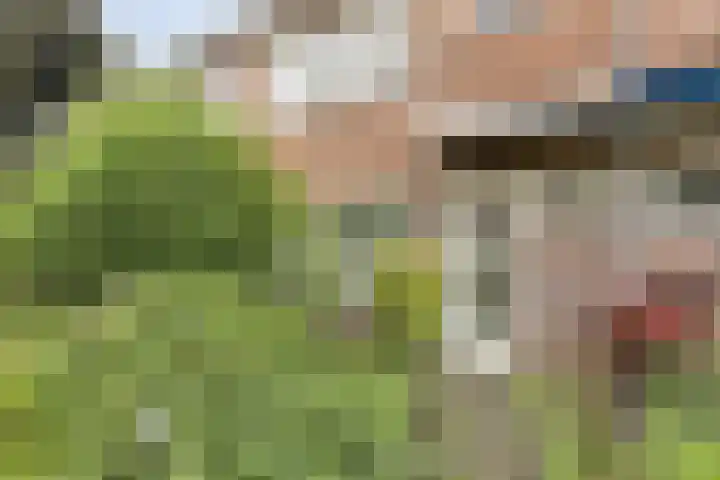 Zonnekruidstraat 5 Heteren thumbnail 4