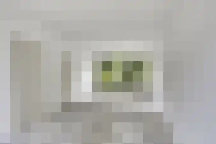 Zonnekruidstraat 5 Heteren thumbnail 7